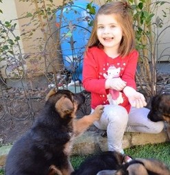  Puppies are Socialized w/Our Grandkids